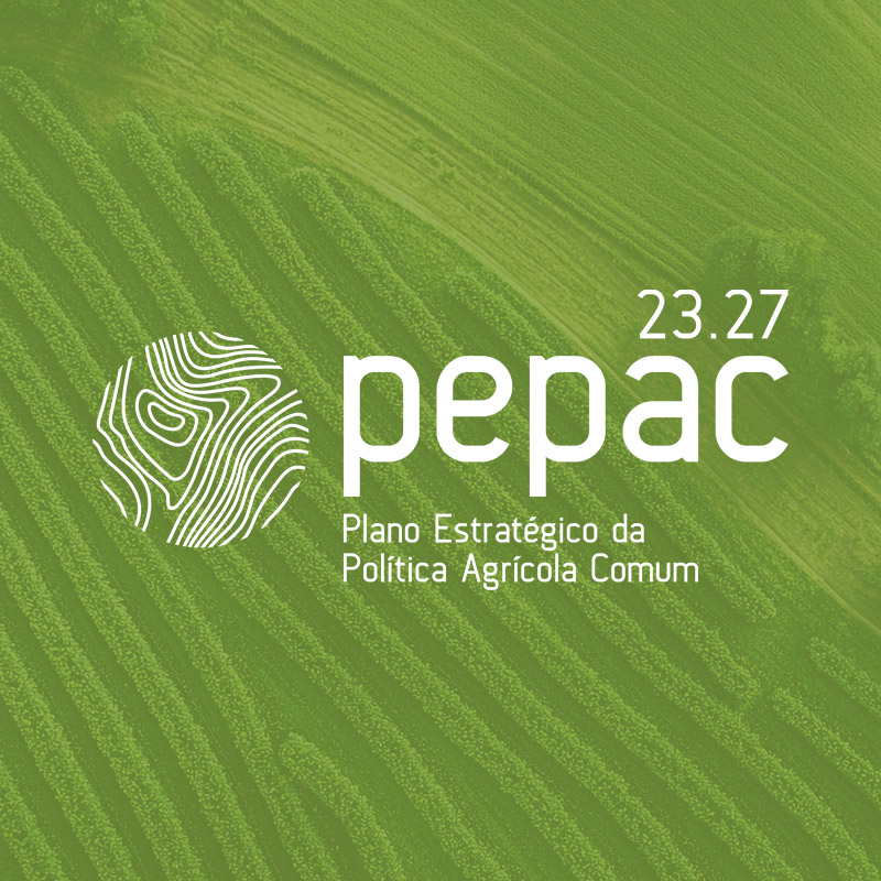 D.1.1.1.1 – Pequenos investimentos na exploração agrícola